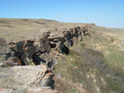 Head-Smashed-In Buffalo Jump Source: Wikimedia Commons/CC-BY-SA