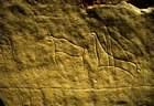Petroglyph of a mounted hunter chasing a bison, Milk River Source: Royal Alberta Museum