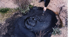 An oil seep (in the McKittrick Tar Pits, California)