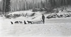 Robert Fitzsimmons prepares to set off from Bitumount with his dog team, possibly ca. 1930. In the winter, the Athabasca River freezes solid and becomes a highway for traffic of all sorts.
