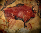 Painting of a bison in the cave of Altamira Source: Wikimedia Commons/Public Domain