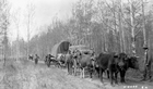 Settlers on the trail, north of Edmonton, 1910 Source: Carl Engler/Library and Archives Canada/PA-018755