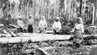 Ukrainian women cutting logs, Athabasca, ca. 1930 Source: C.N.R./Library and Archives Canada/C-019134