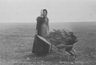 Ada McColl collecting buffalo chips near Lakin, Kansas, 1892 Source: Kansas Historical Society #207965