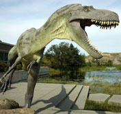 Royal Tyrrell Museum
